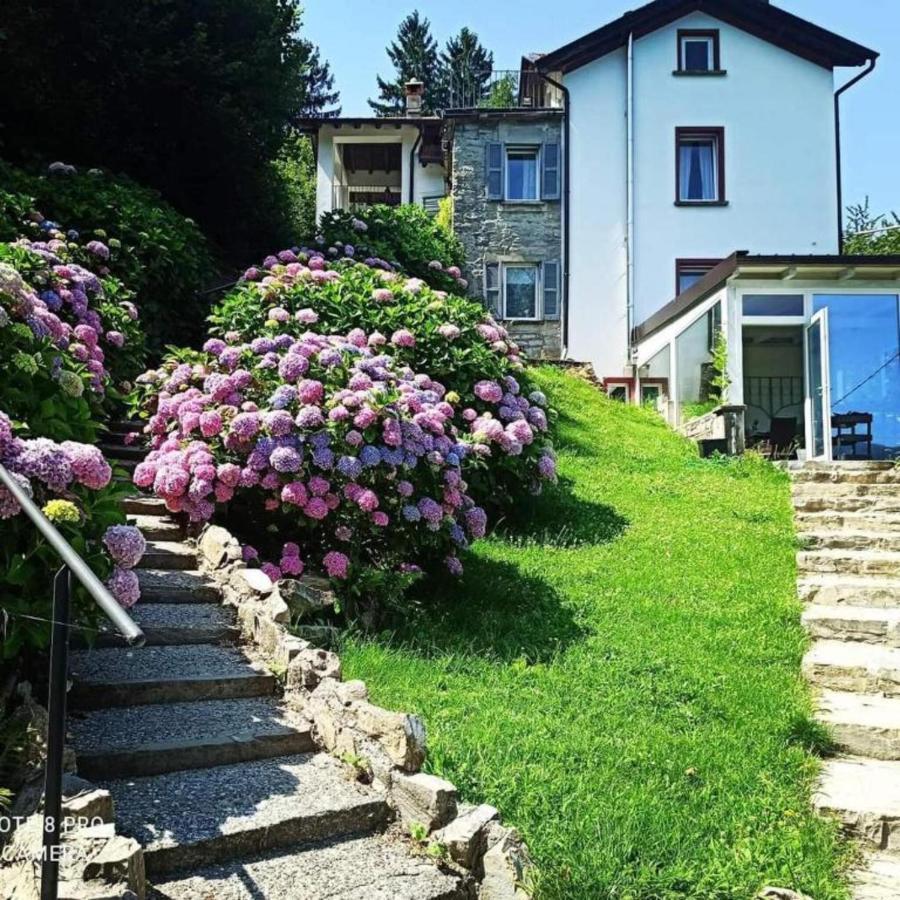 Essentia Guest House Faggeto Lario Exterior photo